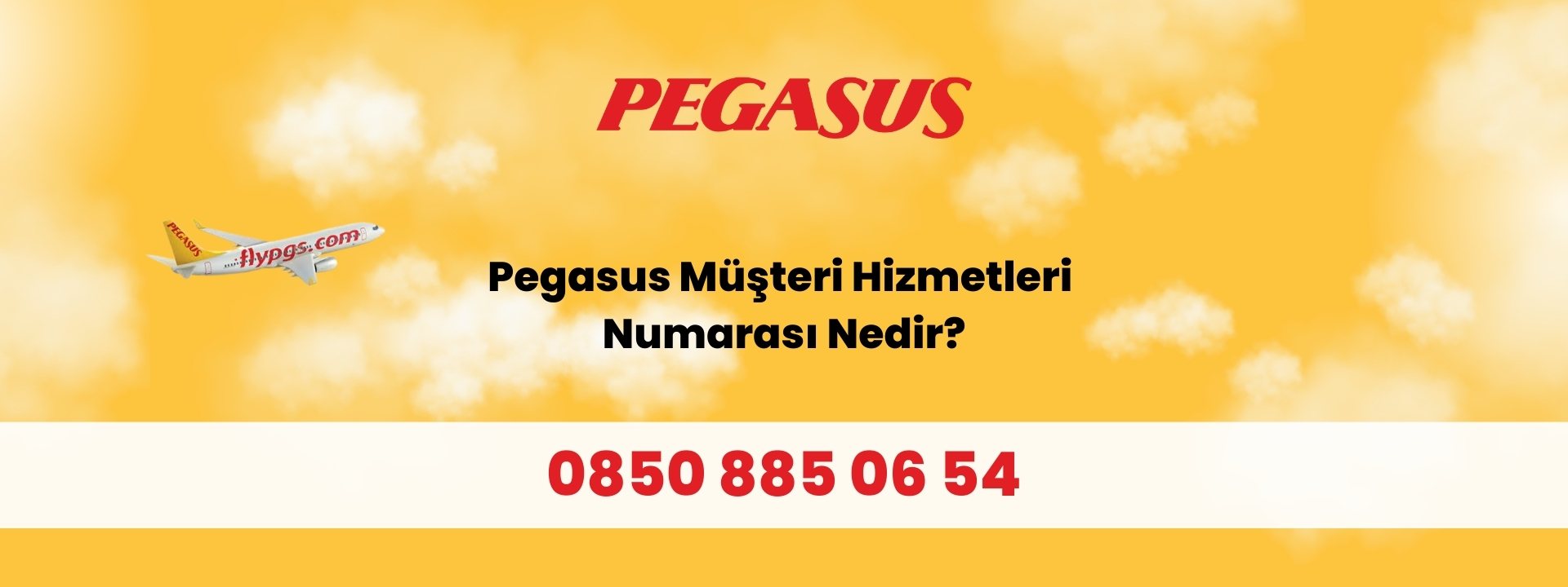 Pegasus Müşteri Hizmetleri Numarası Nedir?